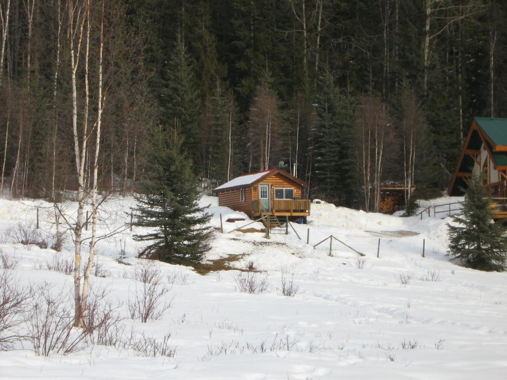 Hotel Bear Corner Adventures Bed & Bale Golden Exterior foto